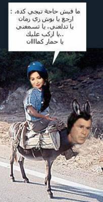 nansi et boch